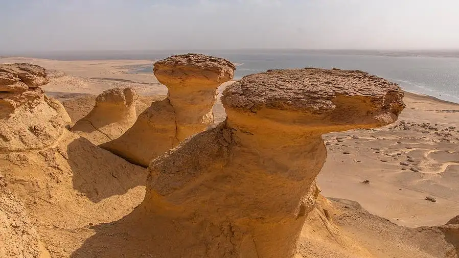 Fayoum Desert , 14 G Egypt Travel Booking